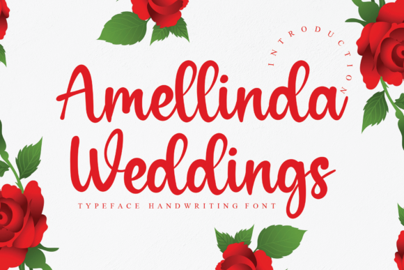 Amellinda Weddings Font Review for Web Design