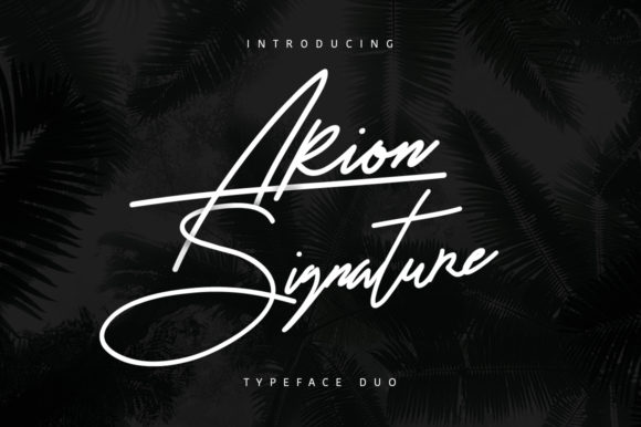 Arion Signature: A Designer’s Honest Review