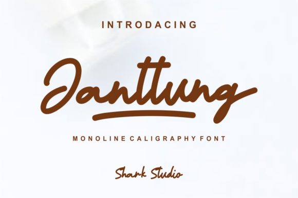 Janttung: A Natural Monoline Typeface for Web Design