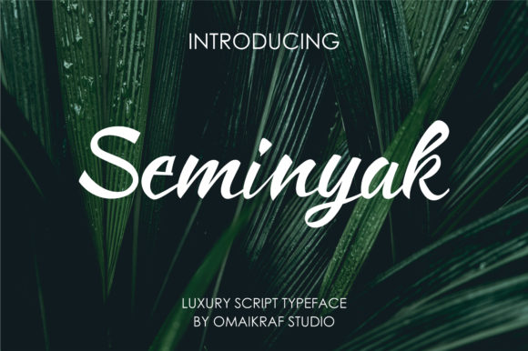 Seminyak: A Handwritten Font for Modern Web Design