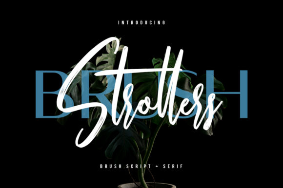 Strollers Font: Elevate Your Brand Identity